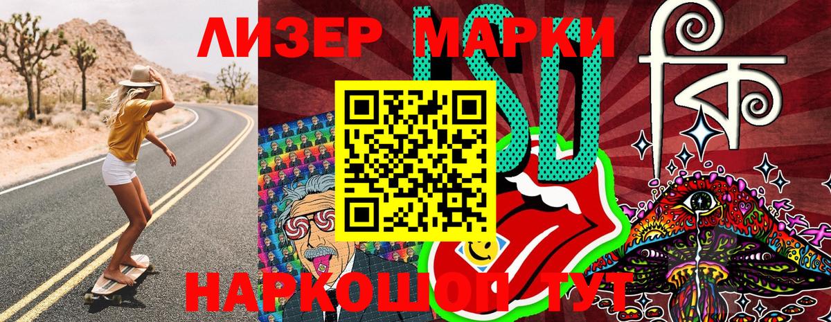 Курчалой  Наркотические марки  Вход с VPN  Наркотические марки 1500мкг  Наркотические марки 1500мкг 